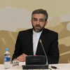 Đại diện của Iran, ông Ali Baqeri, trong cuộc đàm phán giữa Iran với Nhóm 5+1 ngày 5/4 tại Kazakhstan.(Nguồn: THX/TTXVN)