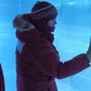 Các nhà khoa học kiểm tra băng bên trong một hố tuyết tại Nam Cực. (Nguồn: dailyclimate.org) 