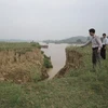 Một điểm sạt lở ở đê sông Lô. Ảnh minh họa (Ảnh: Quang Đán/Vietnam+)