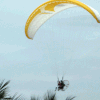 Một màn bay biểu diễn bay lượn trên những rặng dừa ven biển (Nguồn: baodanang.vn)