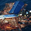 Rác trôi dạt sau sóng thần ở Nhật Bản (Nguồn: Telegraph)