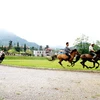 Đua ngựa ở Bắc Hà (Nguồn: laocai.gov.vn)