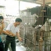 Gấu nuôi nhốt ở Quảng Ninh.(Ảnh: Nguyễn Đán/TTXVN)