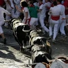 Cảnh bò tót rượt đuổi trong lễ hội năm 2011. (Nguồn: Boston.com)