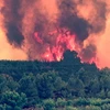 Cháy rừng đe dọa an toàn các nhà máy điện hạt nhân. Ảnh minh họa. (Nguồn: EPA)