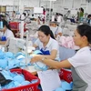 May trang phục phụ nữ xuất khẩu ở Công ty trách nhiệm hữu hạn FLD tại Khánh Hoà. Ảnh minh họa. (Ảnh: Hồng Kỳ/TTXVN).