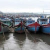 Tàu thuyền neo đậu tránh bão tại cửa biển Sa Kỳ, Quảng Ngãi. Ảnh minh họa. (Ảnh: Thanh Long/TTXVN)
