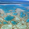 Rạn san hô Great Barrier. (Nguồn: Tourism Australia). 