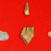 Mảnh răng hóa thạch của trẻ em (trên cùng) và các công cụ bằng đá thạch anh (dưới) được tìm thấy ở thành phố Nanjo, tỉnh Okinawa. (Nguồn: Kyodo). 