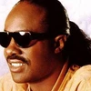 Nam ca sĩ người Mỹ Stevie Wonder. (Ảnh: tvtropes.org).