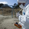 Nhân viên Tổ chức Hòa bình Xanh đo độ phóng xạ tại Iitate, tỉnh Fukushima. Ảnh minh họa. (Nguồn: AFP/TTXVN)