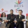 Bộ trưởng các nước thuộc nhóm BRICS. (Nguồn: Reuters)