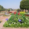 Một góc Mughal Gardens. (Ảnh: Minh Lý/Vietnam+)