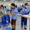 Sản xuất tại Công ty TNHH Toyotsu Vehitecs Việt Nam ở Khu Công nghiệp Mỹ Phước 3 - Bình Dương. Ảnh minh họa. (Ảnh: Quách Lắm/TTXVN).