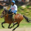Giải đua ngựa Bắc Hà mở rộng năm 2010. (Ảnh: Kim Phương/TTXVN)