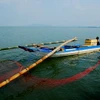 Báo động tình trạng tận diệt thủy sản ở Bình Thuận 