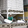 Xuất khẩu gạo ở Công ty lương thực Sông Hậu, khu công nghiệp Trà Nóc 1, thành phố Cần Thơ. (Ảnh: Đinh Huệ/TTXVN)