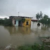 Nhiều nhà dân bị ngập trong nước sau bão. (Ảnh: Đức Phương/TTXVN)