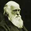 Cha đẻ Thuyết tiến hóa Charles Darwin. (Ảnh: Internet)