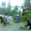 Cơn bão vừa qua đã làm cho người dân miền Trung - Tây Nguyên điêu đứng. (Ảnh: Thanh Long/Vietnam+) 