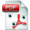 Người dùng cần cảnh giác cao độ trước việc lây lan virus qua file PDF. (Ảnh: Bkis)
