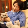 Cứ lúc nào rảnh rỗi, anh Trung lại ôm ấp, vuốt ve những chú mèo cưng của mình. (Ảnh: Trung Hiền/Vietnam+)