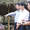Anh Huy (người chỉ tay) bảo, mình sẽ Việt hóa ý tưởng của cán bộ ADB để thu lượm kết quả tốt nhất. (Ảnh: Trung Hiền/Vietnam+)