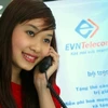 Hiện vẫn chưa có ý kiến cuối cùng về vụ sáp nhập EVN Telecom. (Ảnh: Internet)