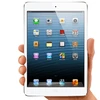 Chiếc máy tính bảng thế hệ thứ 4 của Apple có tên iPad mini. (Nguồn: Apple.com)
