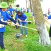 Sinh viên tình nguyện đang trồng cây, làm sach môi trường để hưởng ứng phát động Tháng Thanh niên. (Ảnh: Mạnh Hùng/Vietnam+).