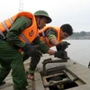 Các chiến sĩ công binh đang làm nhiệm vụ tháo dỡ cầu phao Chèm. (Ảnh: Mạnh Hùng/Vietnam+)