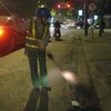 Chị lao công cần mẫn quét rác, "làm đẹp xuân" cho đường phố thủ đô. (Ảnh: Hùng Võ/Vietnam+) 