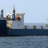 Ảnh tư liệu: Tàu hàng chở vũ khí MV Faina ngoài khơi Somalia ngày 29/9. (Ảnh: AFP/TTXVN)
