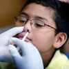 Xịt vắcxin phòng cúm H1N1 cho học sinh trường tiểu học Broadmoor ở Miami ngày 19/10. (Ảnh: AFP/TTXVN)