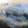 Đám cháy đã thiêu rụi trên 200ha rừng tại huyện Sa Pa. (Nguồn: Internet)