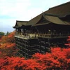 Kiyomizu Dera là di sản thiên nhiên thế giới được UNESCO công nhận. (Nguồn: Internet)