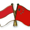 Ảnh minh họa. (Nguồn: crossed-flag-pins.com)