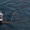 Chính phủ Mỹ và Tập đoàn dầu khí BP đang cố gắng khắc phục sự cố tràn dầu ở Vịnh Mexico. (Nguồn: AFP/TTXVN)