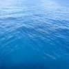 Màu xanh của các đại dương đang ngày càng nhạt đi. (Nguồn: Internet)
