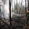 Nhân viên cứu hỏa phun nước dập lửa đám cháy rừng ở ngoại ô Voronezh ngày 1/8. (Ảnh: AFP/TTXVN)