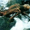Người băng Ötzi lúc mới được phát hiện. (Nguồn: Internet)