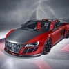 Mẫu Audi R8 GT Spyder. (Nguồn: Internet)