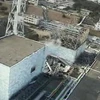 Thanh nhiên liệu trong bể chứa lò 2 Nhà máy điện Fukushima 1 có dấu hiệu bị hư hại. (Nguồn: AP(