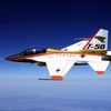 Máy bay phản lực huấn luyện T-50. (Nguồn: Internet)