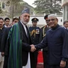 Tổng thống Pakistan Asif Ali Zardari (phải) và Tổng thống Afghanistan Hamid Karzai. (Nguồn: AP)