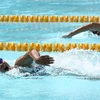 Các vận động viên tham gia môn bơi lội tại Hội Khỏe Phù Đổng toàn quốc – khu vực V. (Ảnh: Duy Khương/TTXVN)