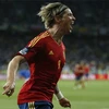 Tiền đạo Fernando Torres. (Nguồn: AP)