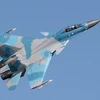 Máy bay tiêm kích Su-30. (Nguồn: Internet)