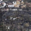 Khung cảnh hoang tàn ở đảo La Gomera do đám cháy gây ra. (Nguồn: AP)