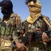 Phiến quân Mali. (Ảnh: Al Jazeera)
